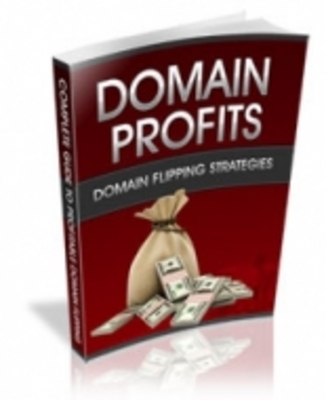 Product picture Domain Profits